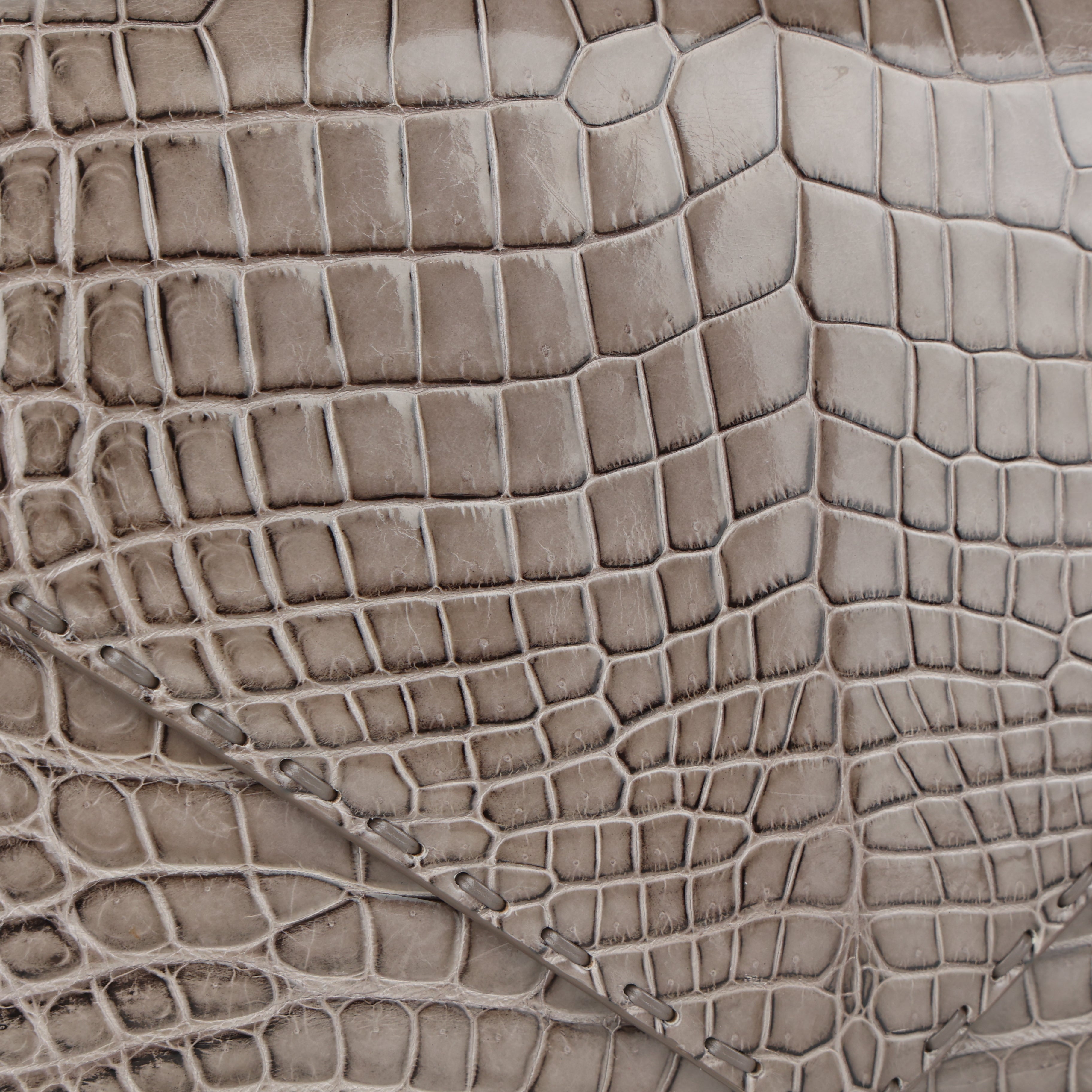 Bottega Veneta, Crocodile Handbag